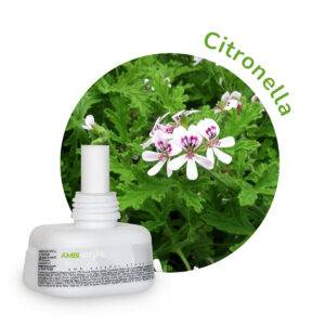 Recarga electrónica Citronella