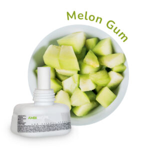 Recarga electronica Melon gum