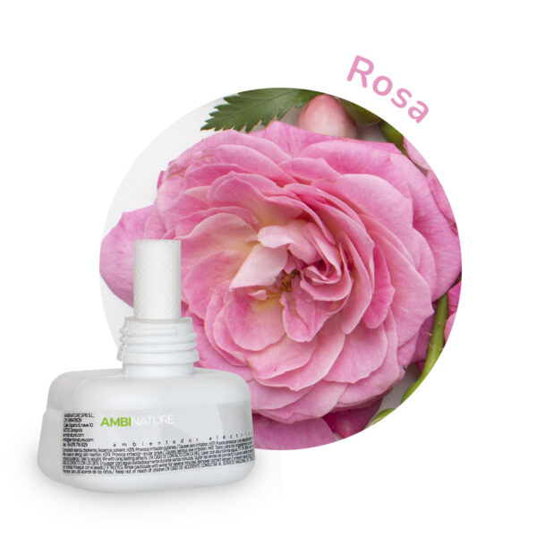 Recarga electrónica Rosa