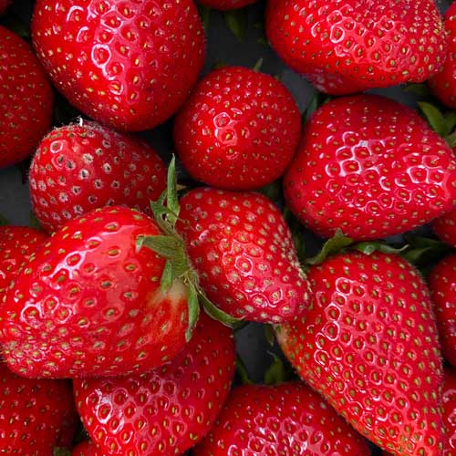 Aroma Fresa