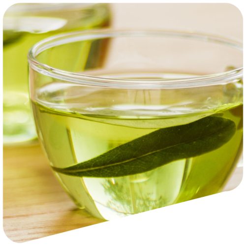 Main-Header-Te-Verde